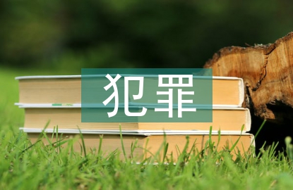 环境资源犯罪问题研究