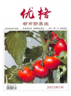 都市新养生杂志