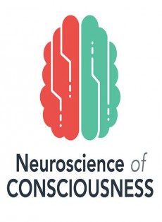 Neuroscience Of Consciousness