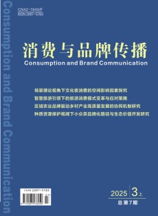 消费与品牌传播